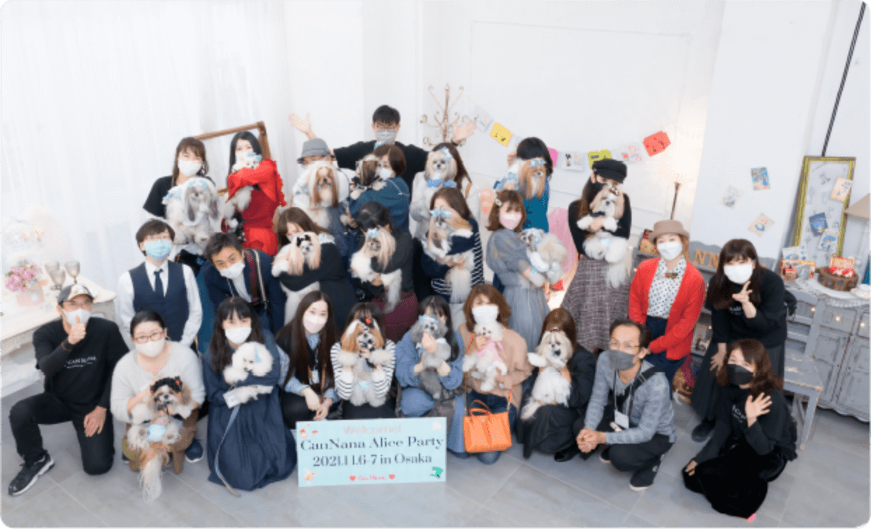 過去のアリスパーティー