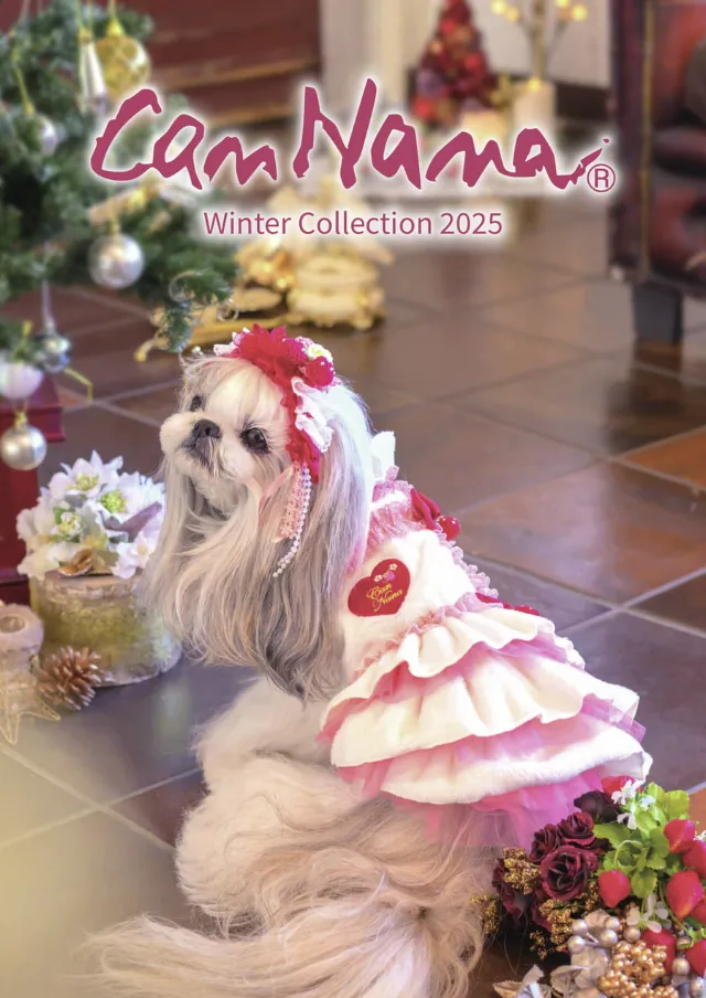 2025年 冬カタログ