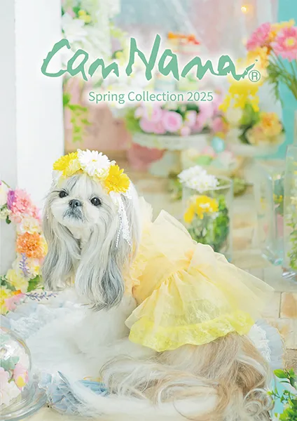 2025年 春カタログ