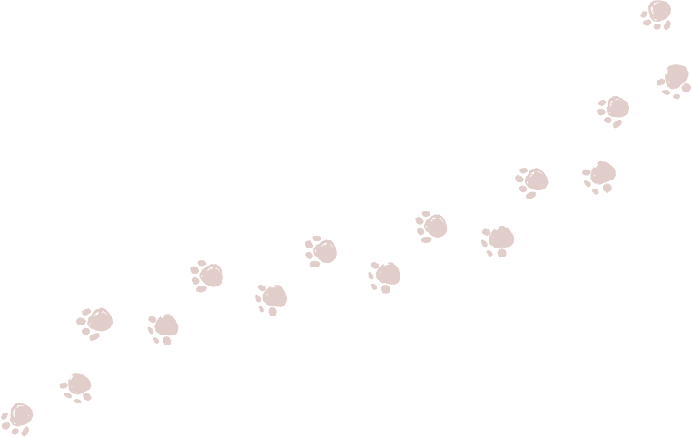 イラスト:ワンちゃんの足跡