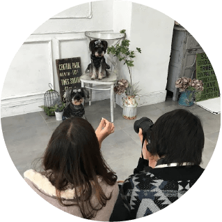 フォトナナ開催