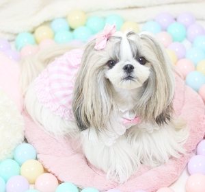 ギンガムワンピ