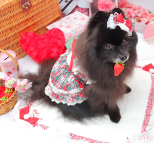 タータンチェックレースアップワンピース