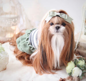 起毛ボーダー・裾フリルプルオーバー