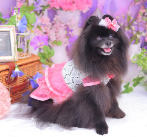 ハート柄レースのサマーワンピース