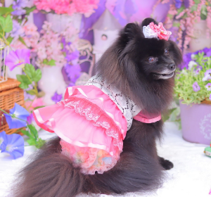 ハート柄レースのサマーワンピース