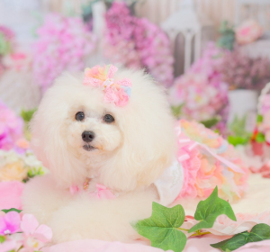 マーメイドキャミワンピース