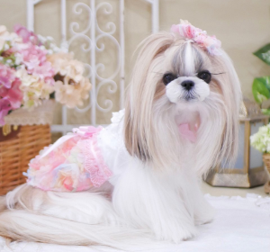 マーメイドキャミワンピース