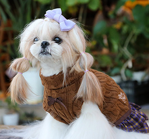 きゃんナナワンピ風ハイネックニット