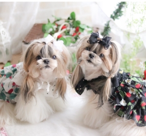 いちごフリルワンピース