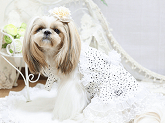 美空（みく）01