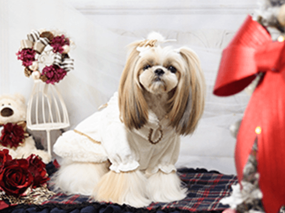 美空（みく）02