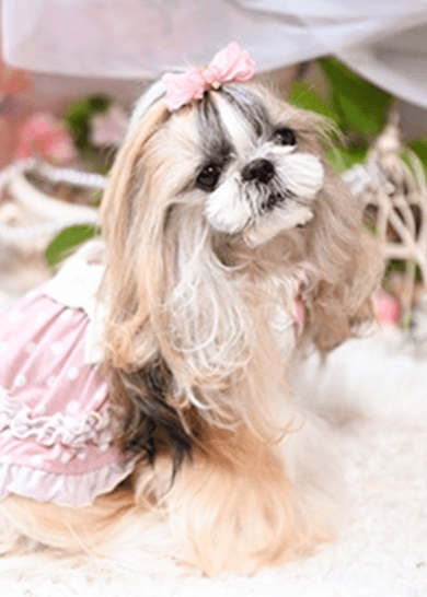 也零（かれん）